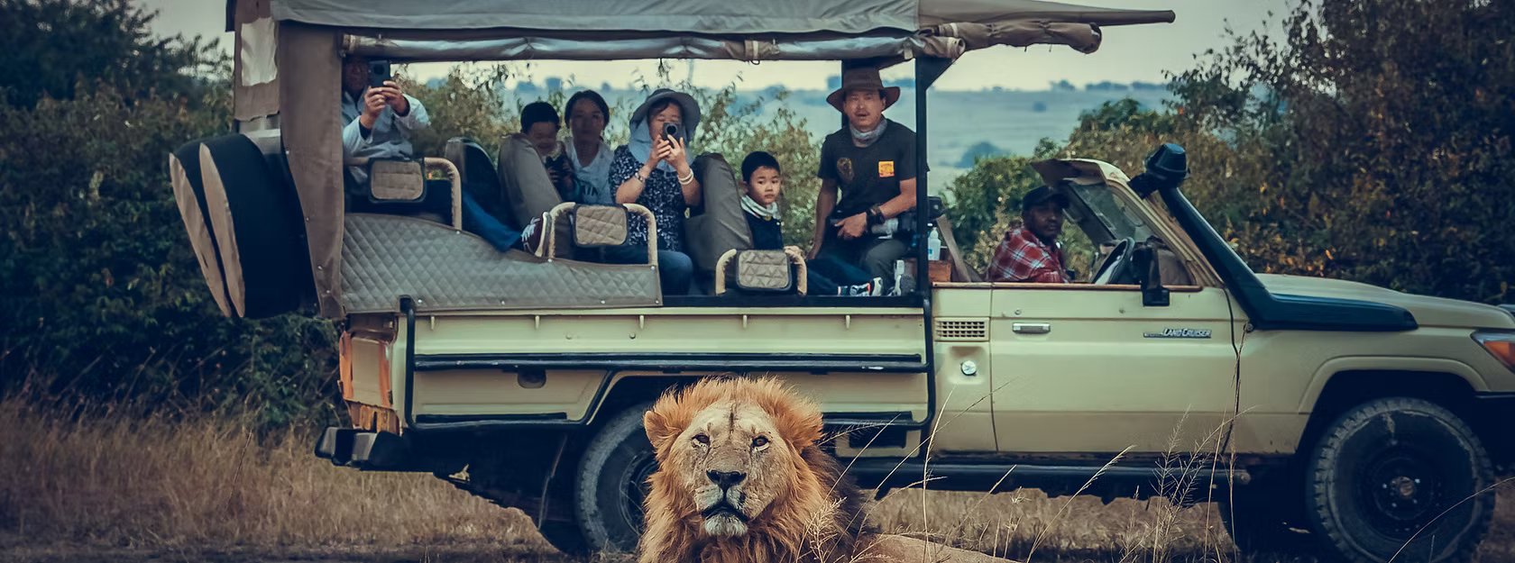 Lion in Maasai Mara — HWF conservation in action